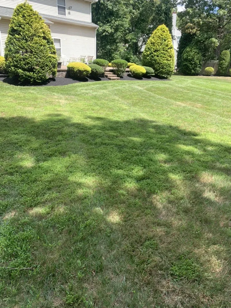 Trusted lawn mowing service for residential properties across Lindenwold, NJ - L&G Landscaping & Tree Service
