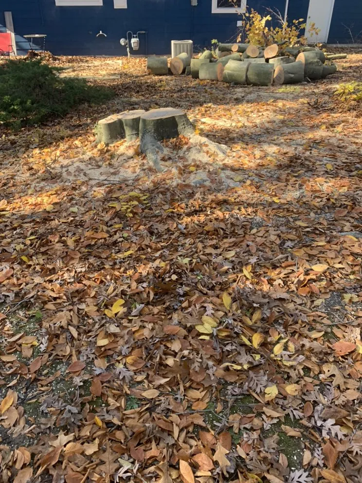 Trusted landscape installation experts serving Lindenwold, NJ - L&G Landscaping & Tree Service