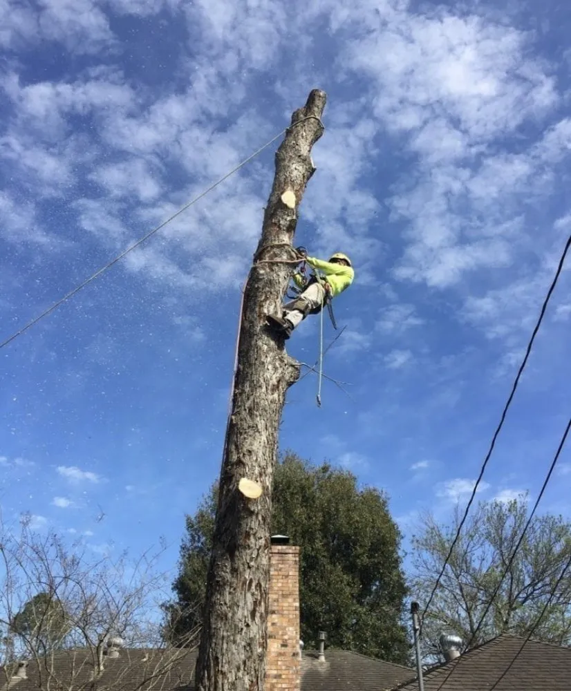 Affordable yard maintenance in Lindenwold, NJ by L&G Landscaping & Tree Service