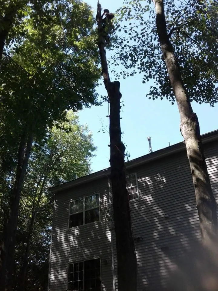 Local lawn care service in Lawrenceville, NJ by LG Landscaping and Tree Service