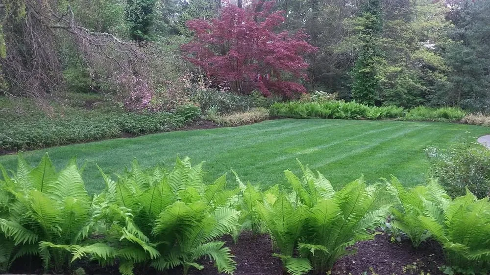 Professional outdoor landscaping experts serving Lawrenceville, NJ - LG Landscaping and Tree Service