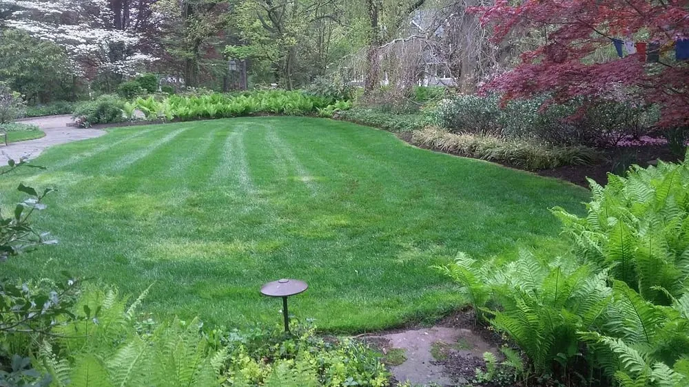 Professional yard cleanup service experts serving Lawrenceville, NJ - LG Landscaping and Tree Service