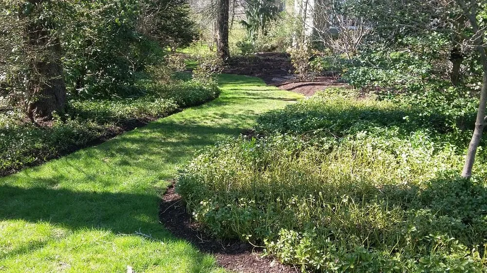 Top-rated yard cleanup service in Lawrenceville, NJ - LG Landscaping and Tree Service