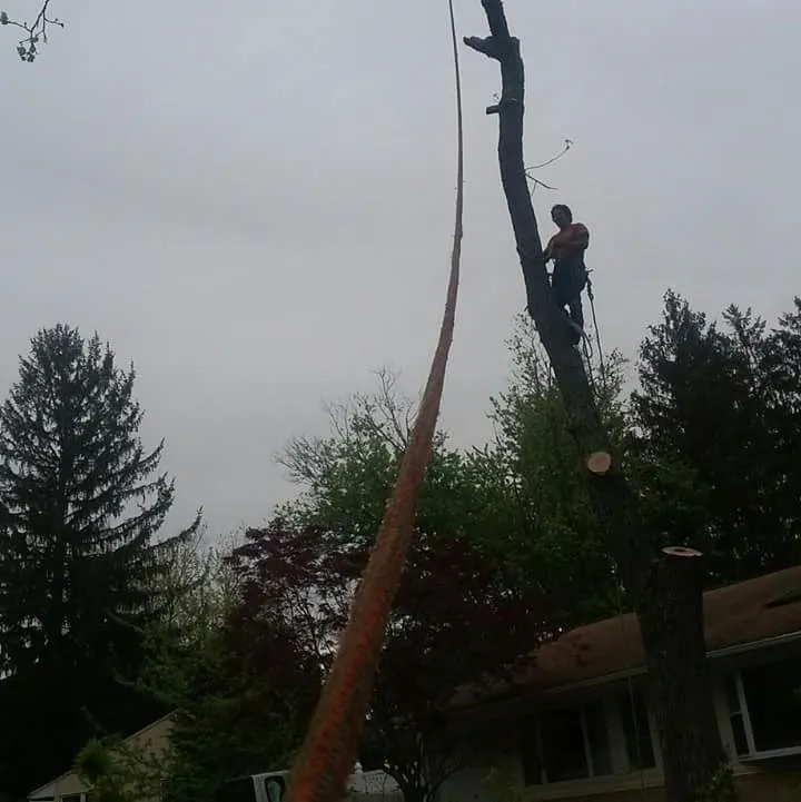 Affordable outdoor landscaping near you across Lawrenceville, NJ - LG Landscaping and Tree Service