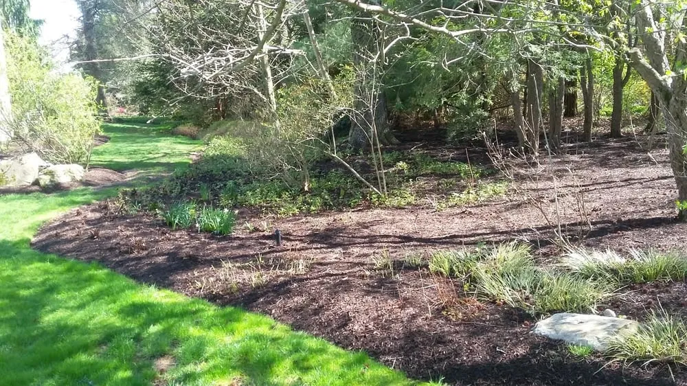 Professional landscape design in Lawrenceville, NJ by LG Landscaping and Tree Service