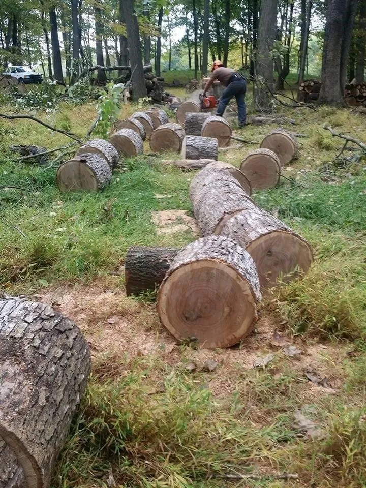 Professional yard maintenance in Lawrenceville, NJ by LG Landscaping and Tree Service