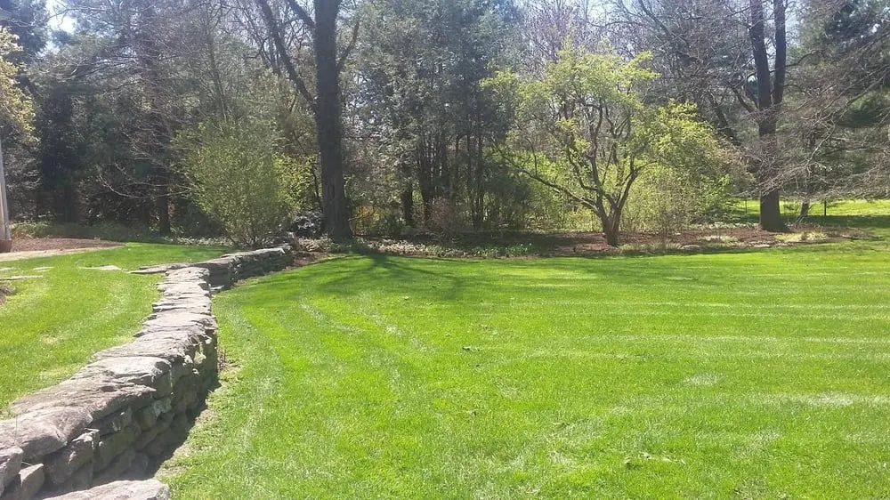 Expert lawn care service experts serving Lawrenceville, NJ - LG Landscaping and Tree Service