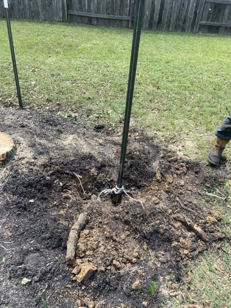 Top-rated landscape installation for residential properties across Brookshire, TX - L&G landscaping