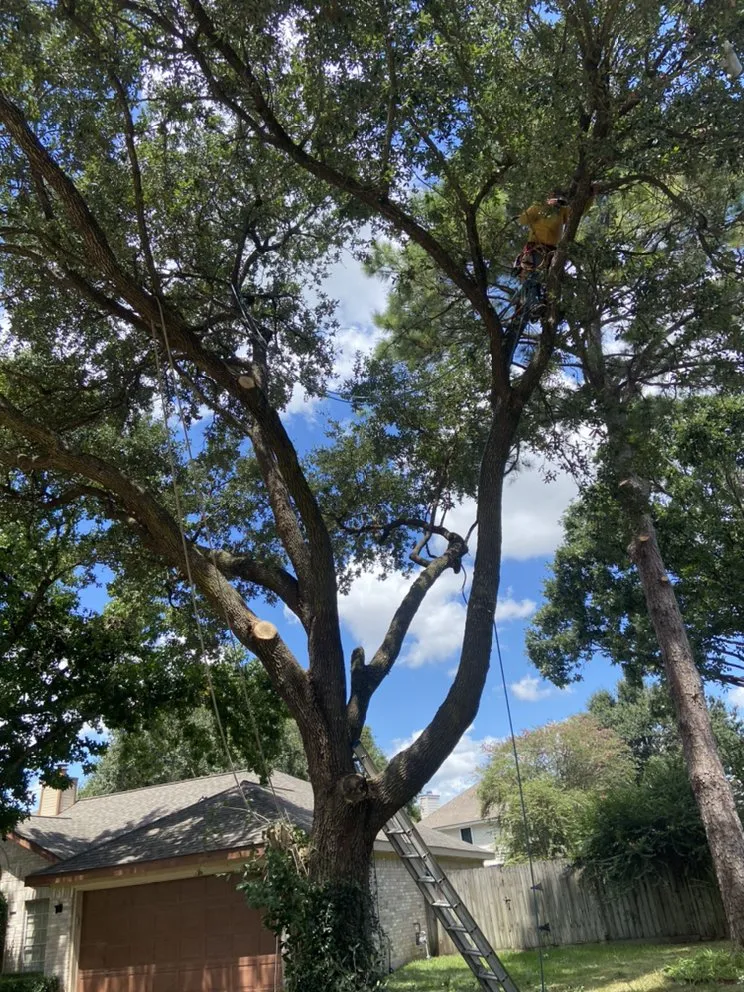 Reliable landscape design in Brookshire, TX - L&G landscaping