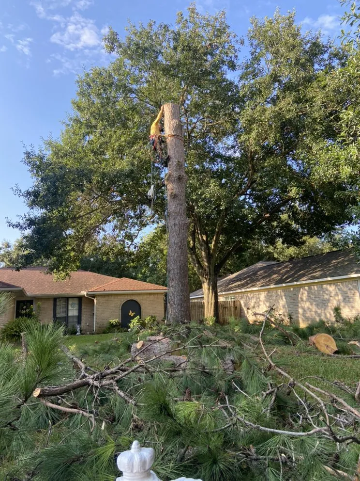 Expert garden landscaping in Brookshire, TX by L&G landscaping