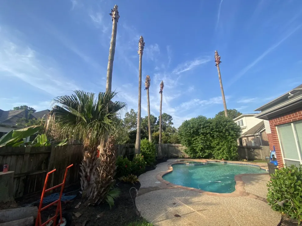 Expert yard cleanup service for homes in Brookshire, TX by L&G landscaping