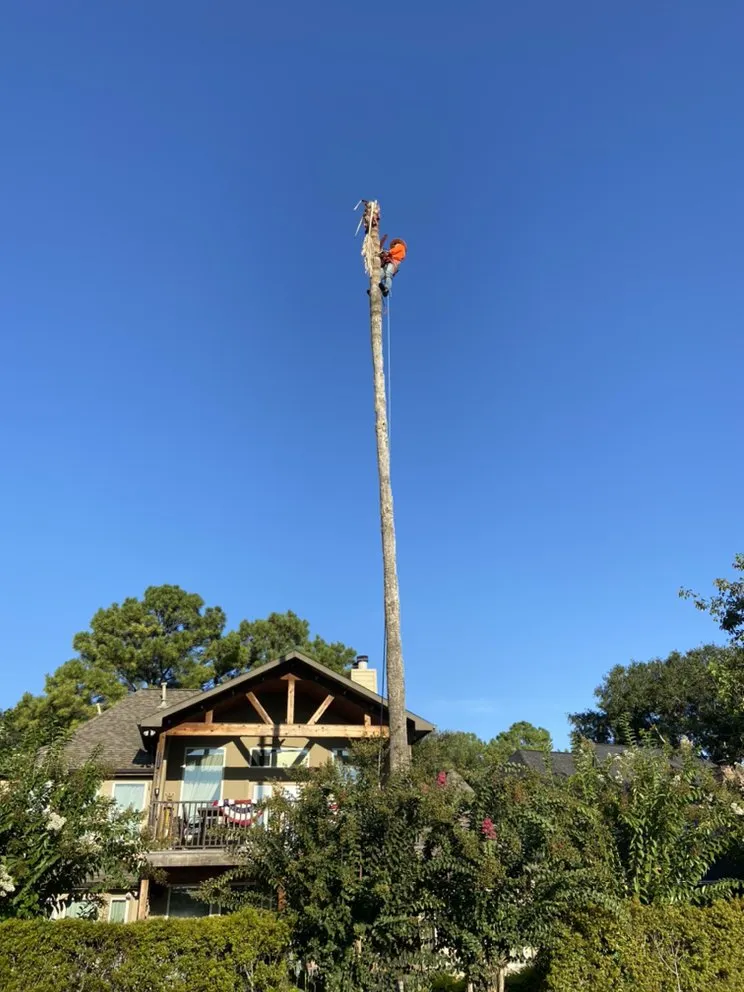 Local lawn mowing service in Brookshire, TX by L&G landscaping