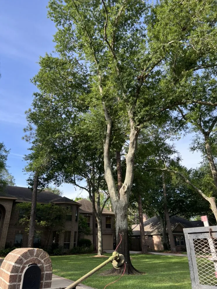 Local yard maintenance experts serving Brookshire, TX - L&G landscaping