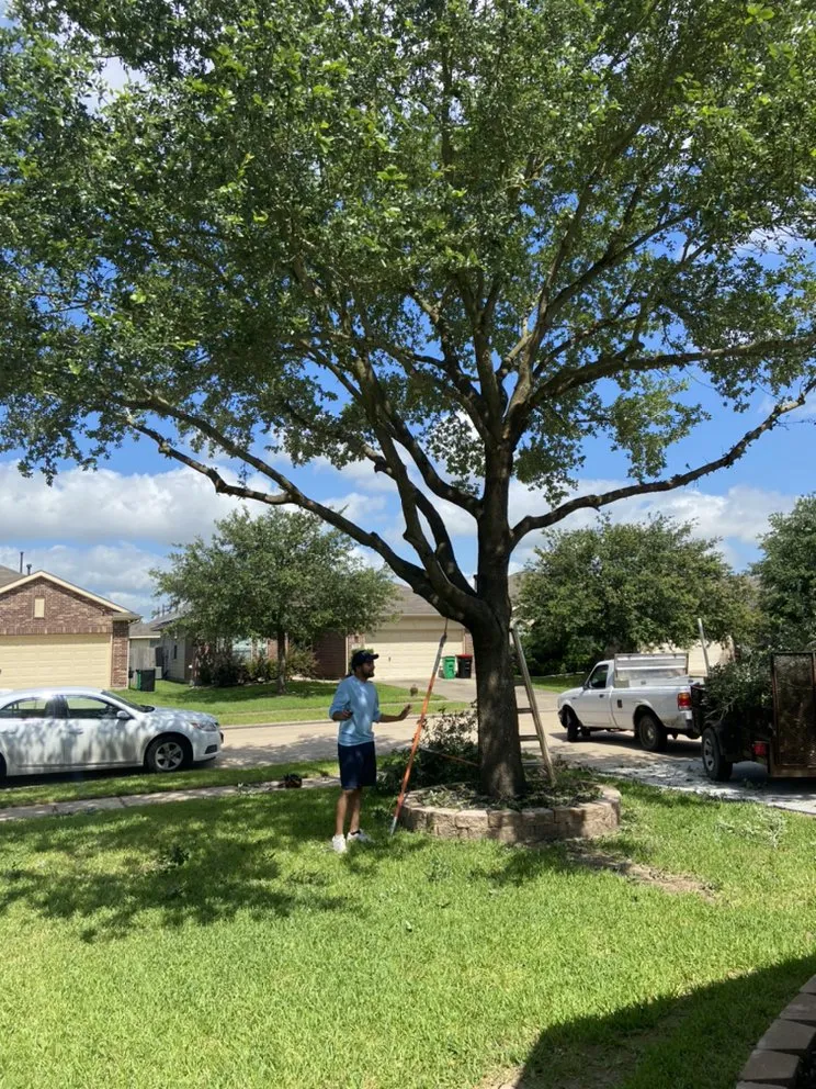 Trusted outdoor landscaping in Brookshire, TX by L&G landscaping