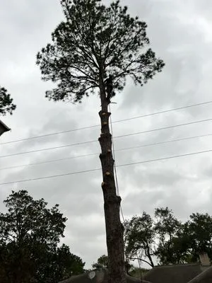 L&G landscaping Logo