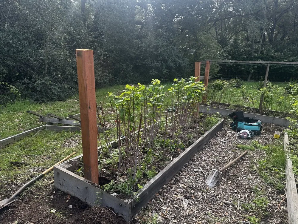 Reliable yard maintenance in Mountain View, CA - L.G. Landscaping