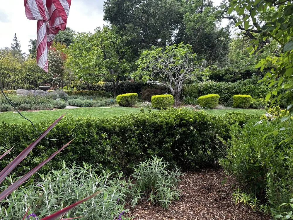 Custom yard maintenance for residential properties across Mountain View, CA - L.G. Landscaping