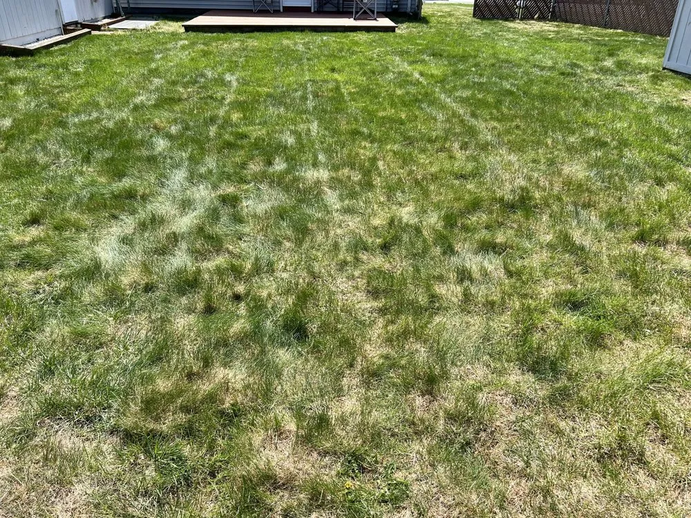 Professional landscaping services in Norwood, MA by L&G Landscaping