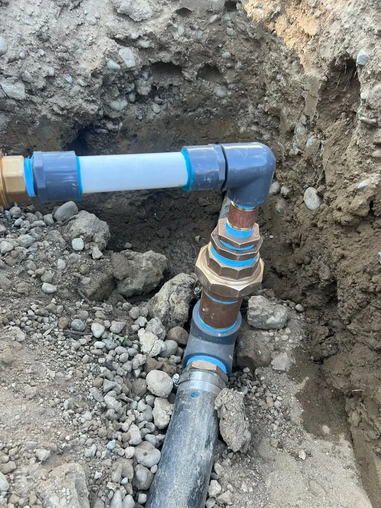 Local yard maintenance for homes in Olympia, WA by LG Landscaping