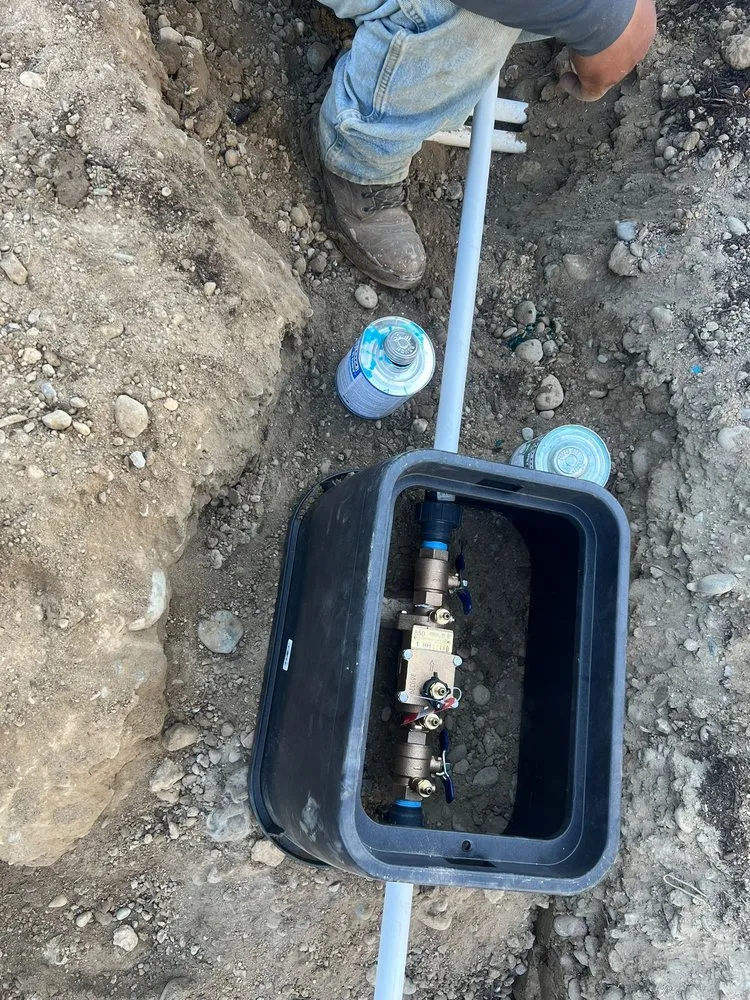 Expert yard maintenance in Olympia, WA by LG Landscaping