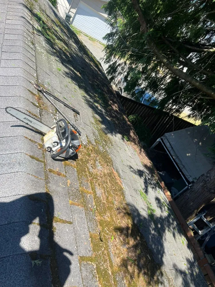 Affordable landscape design for homes in Olympia, WA by LG Landscaping