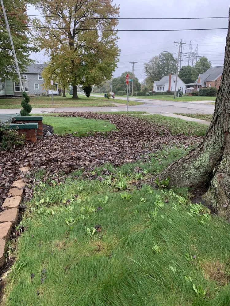 Expert landscaping services for outdoor upgrades in Painesville, OH by LG Landscaping