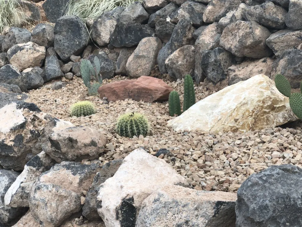 Reliable landscaping services experts serving Santa Clara, UT - LG Landscaping