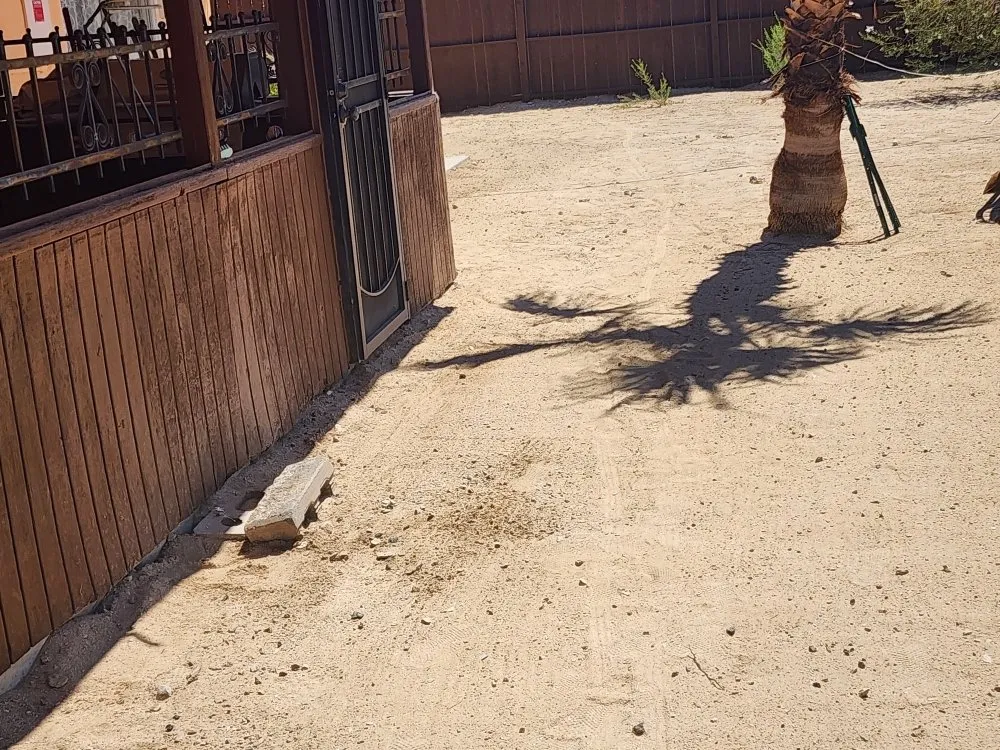 Trusted garden landscaping for outdoor upgrades across Yucca Valley, CA - Lg Landscaping