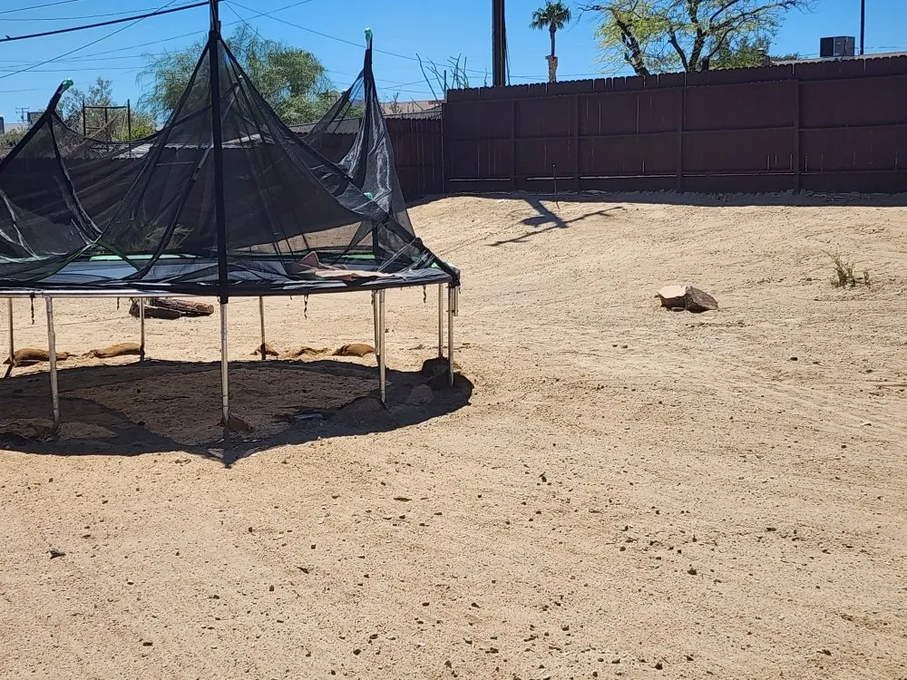 Top-rated yard maintenance experts serving Yucca Valley, CA - Lg Landscaping