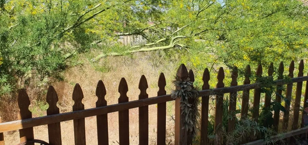 Reliable lawn mowing service in Yucca Valley, CA - Lg Landscaping