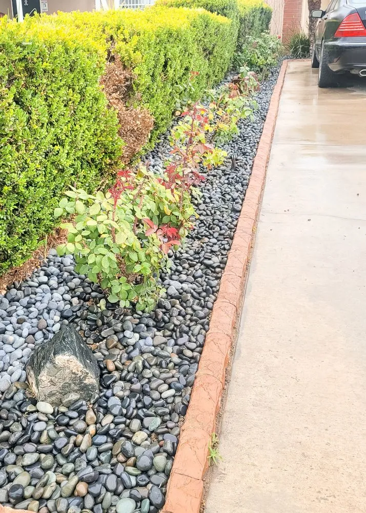 Top-rated residential landscaping in Anaheim, CA by LG Major Landscape Cleanup and Repairs