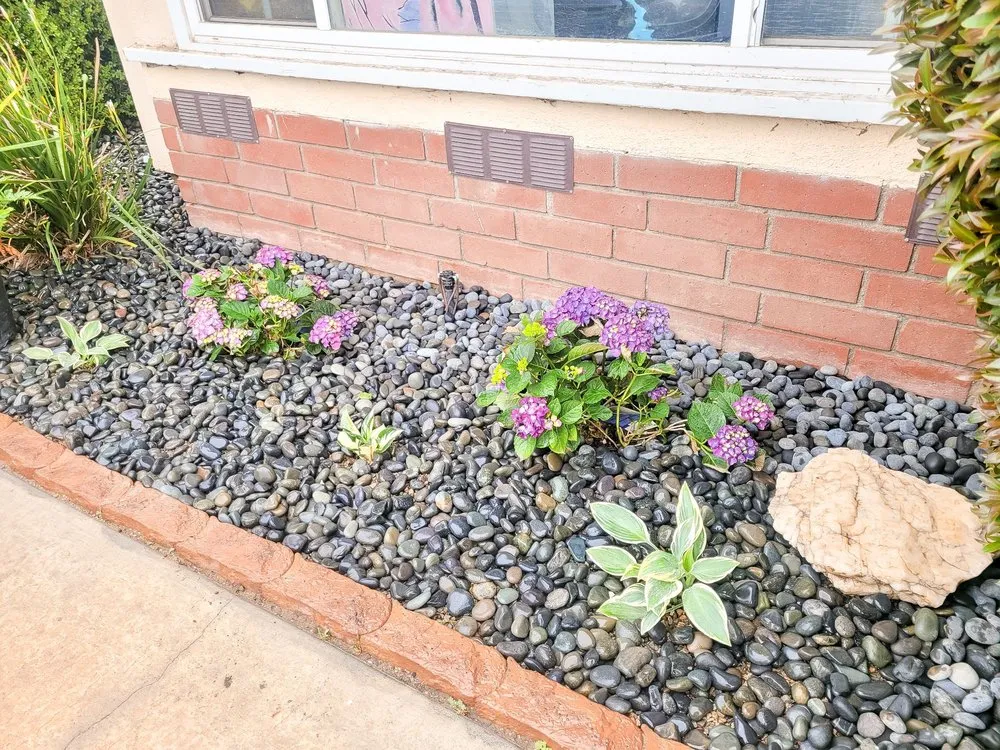 Expert landscape installation in Anaheim, CA by LG Major Landscape Cleanup and Repairs