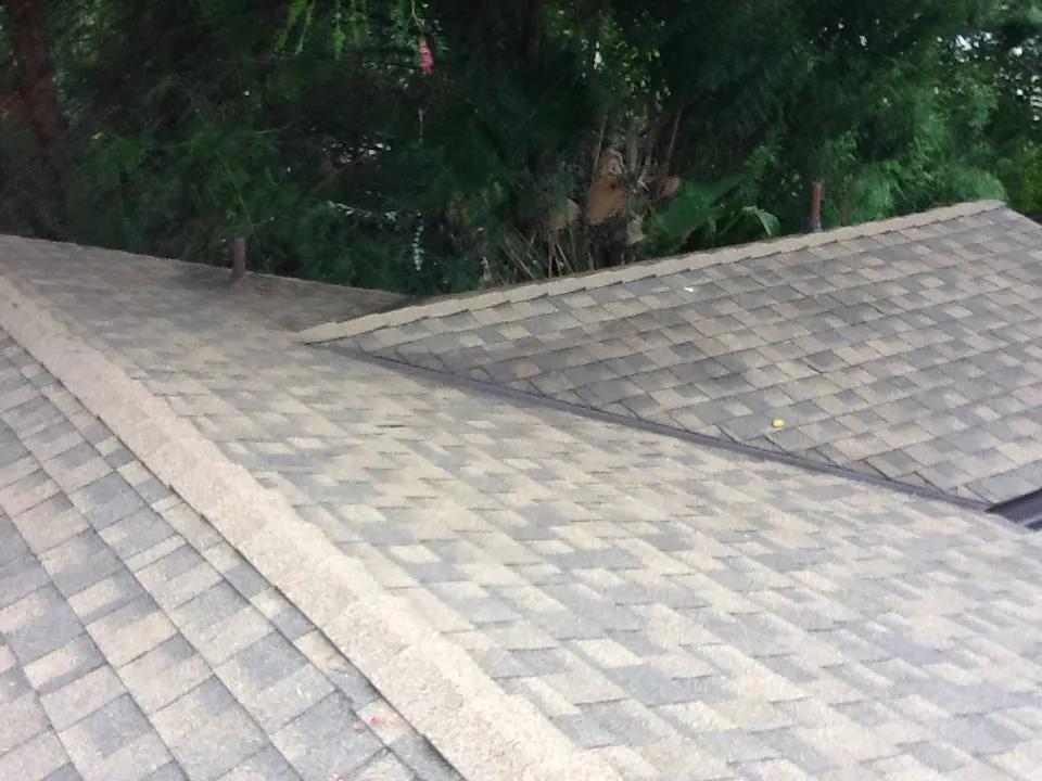 Expert garden landscaping near you across Anaheim, CA - LG Major Landscape Cleanup and Repairs