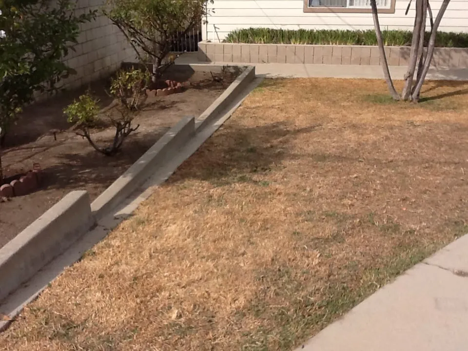 Trusted garden landscaping in Anaheim, CA by LG Major Landscape Cleanup and Repairs