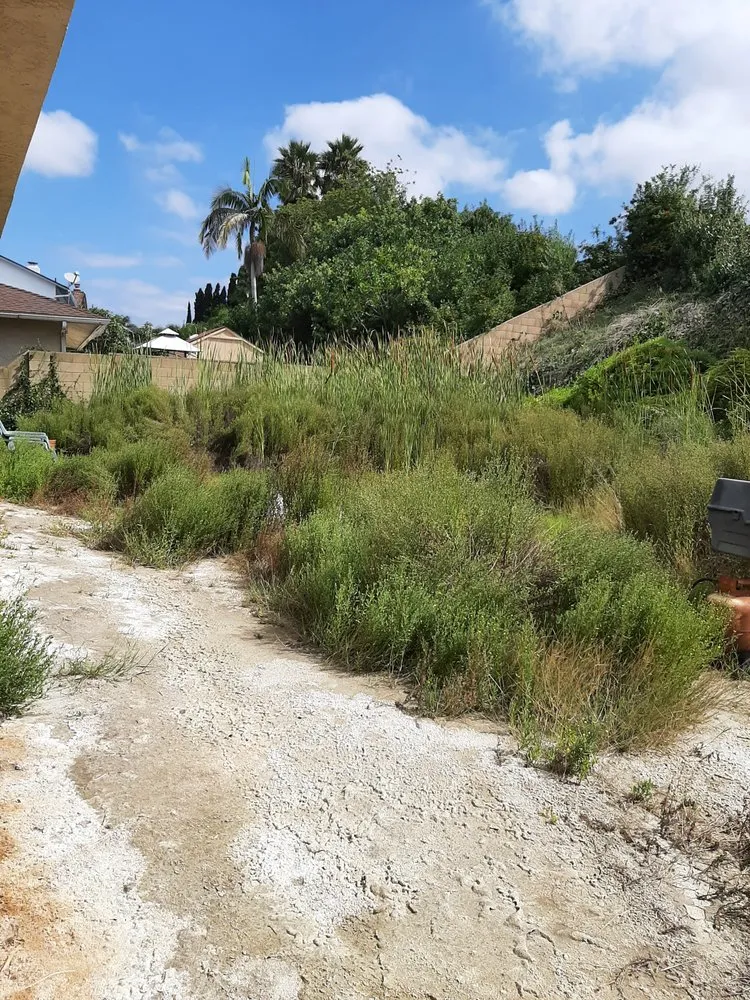 Professional landscaping services experts serving Anaheim, CA - LG Major Landscape Cleanup and Repairs