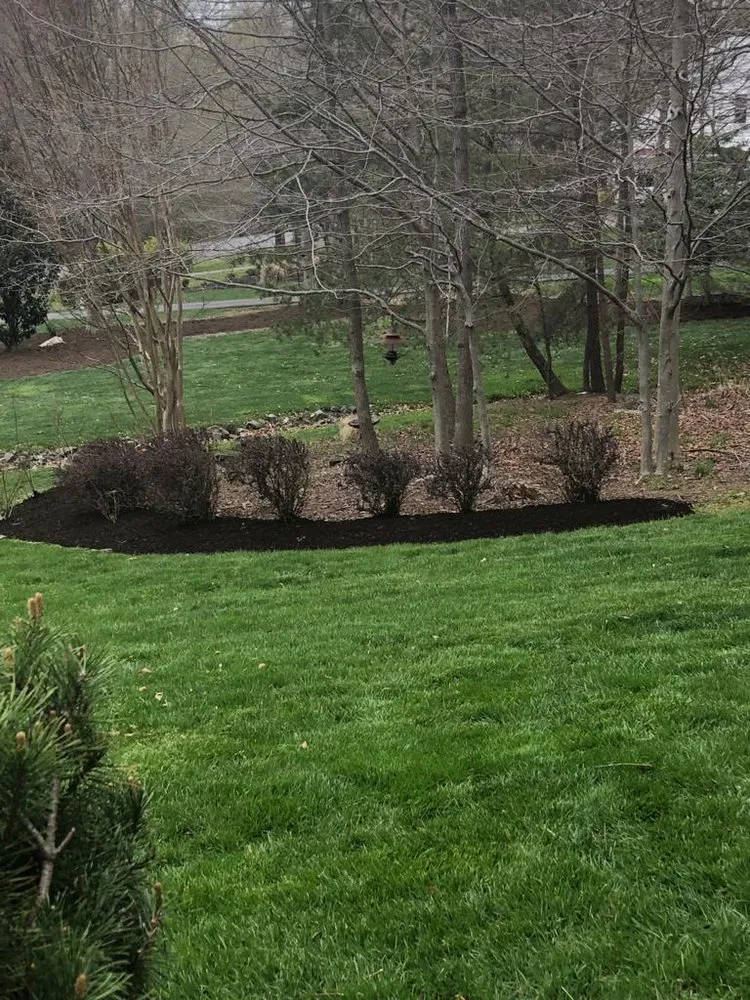 Top-rated lawn care service in Woodbridge, VA by LG Painting & Lawn Services
