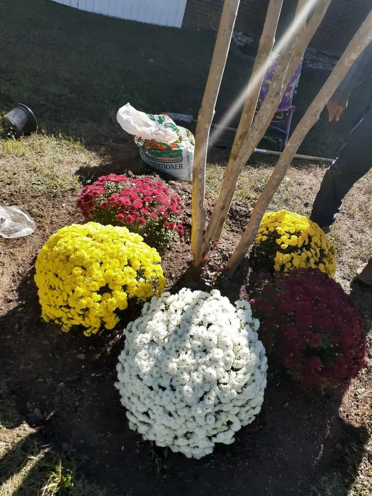 Reliable garden landscaping in Woodbridge, VA - LG Painting & Lawn Services