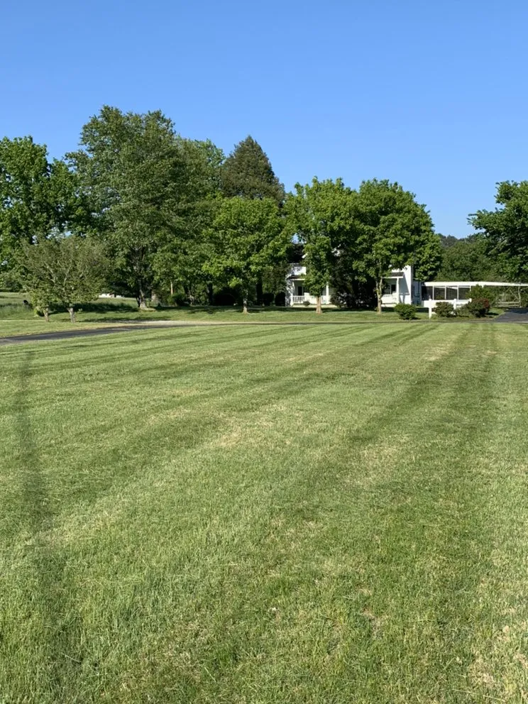 Professional lawn care service for beautiful yards across Ashland City, TN - lg services ashland city