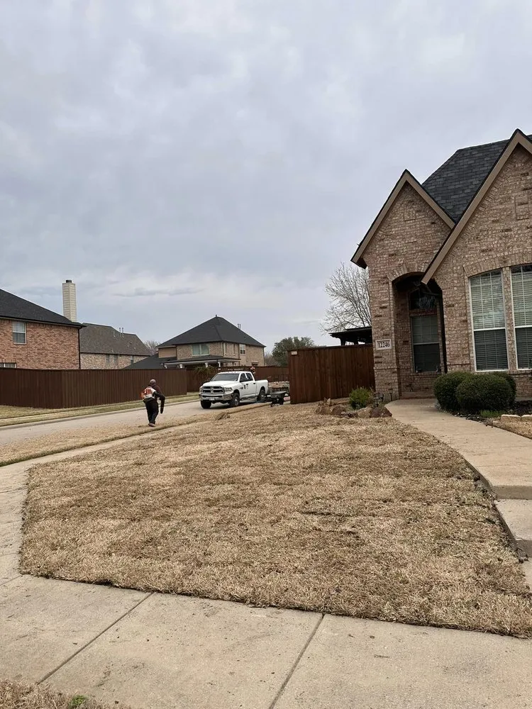 Top-rated yard cleanup service experts serving Terrell, TX - LG Tree Services & Landscaping