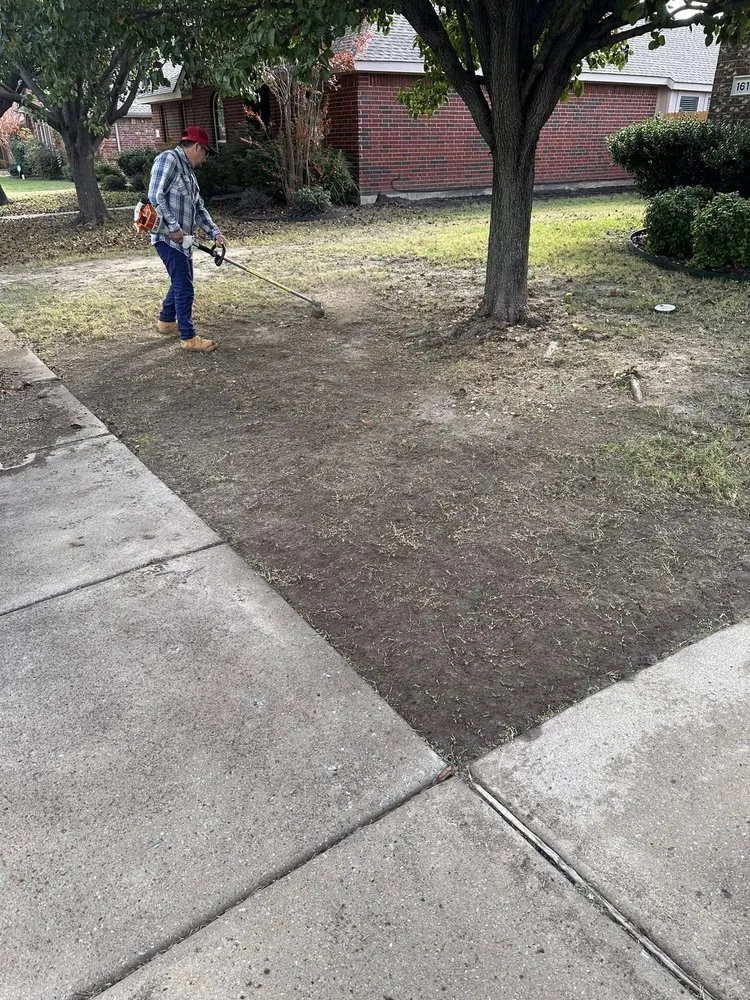 Top-rated lawn care service experts serving Terrell, TX - LG Tree Services & Landscaping