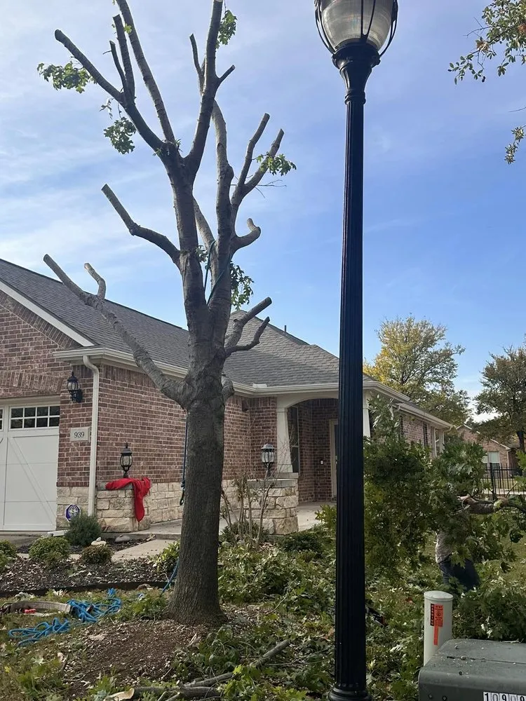Affordable landscape installation for residential properties across Terrell, TX - LG Tree Services & Landscaping