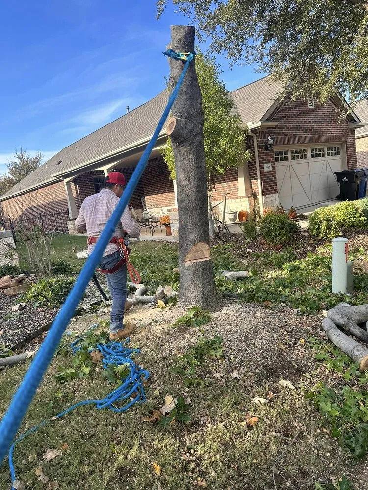 Expert landscaping services with custom design across Terrell, TX - LG Tree Services & Landscaping