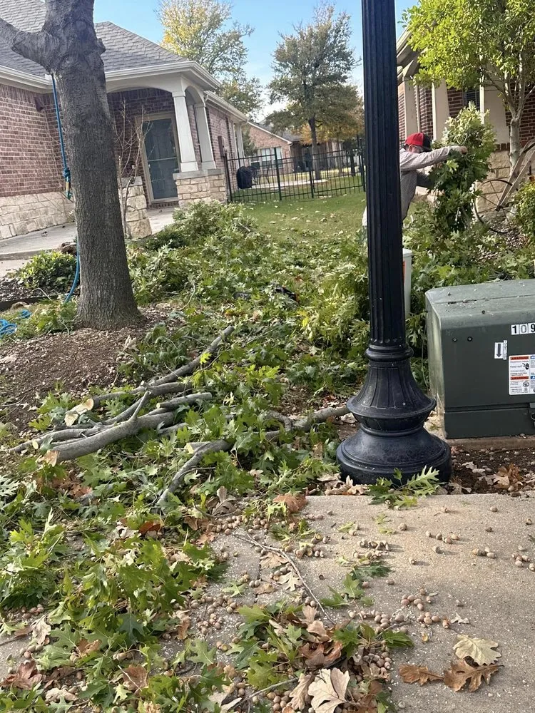 Custom yard cleanup service for year-round maintenance in Terrell, TX by LG Tree Services & Landscaping