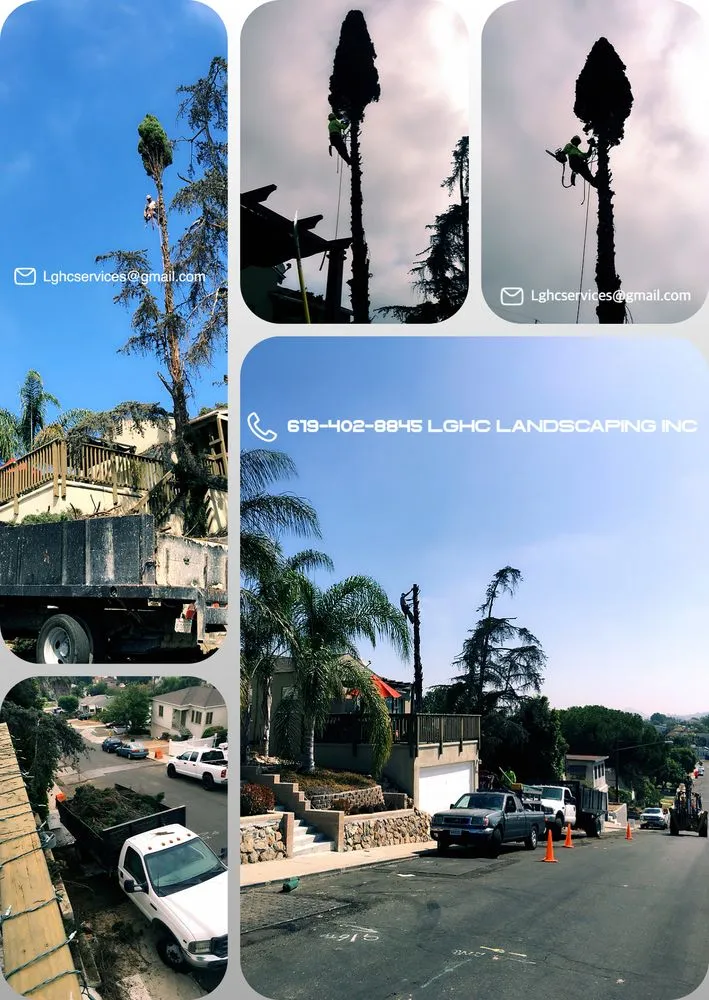 Trusted residential landscaping for beautiful yards in San Diego, CA by LGHC Landscaping