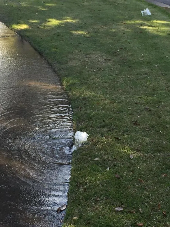 Trusted lawn care service in Destin, FL by LGM Landscape and Irrigation