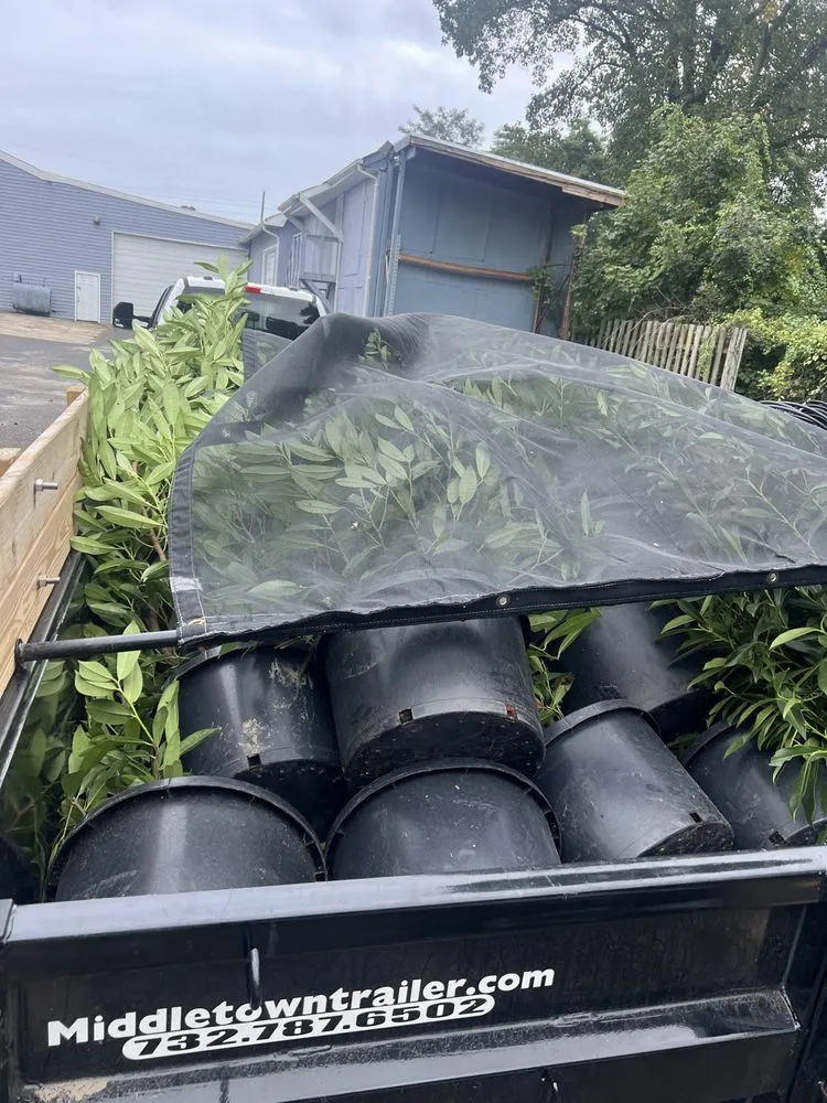 Professional yard cleanup service experts serving Red Bank, NJ - L.Gonzalez landscaping services