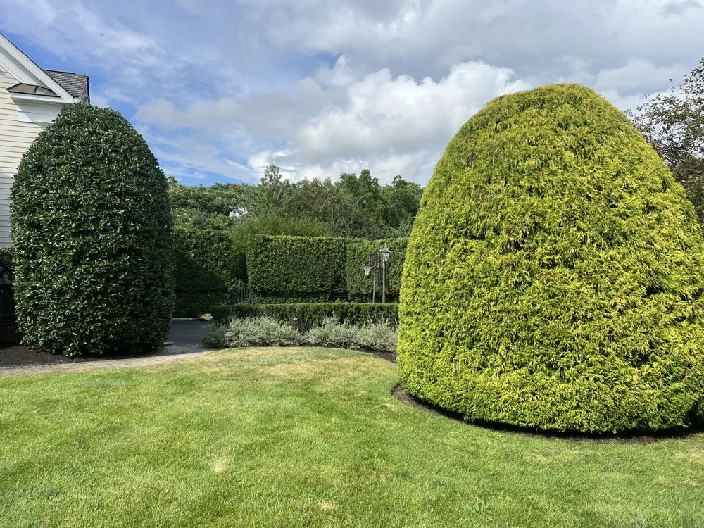 Trusted yard cleanup service in Red Bank, NJ by L.Gonzalez landscaping services