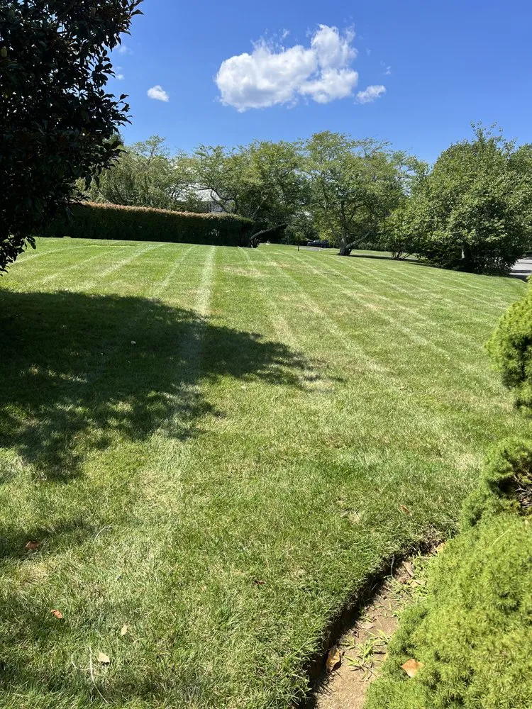 Custom lawn mowing service in Red Bank, NJ by L.Gonzalez landscaping services