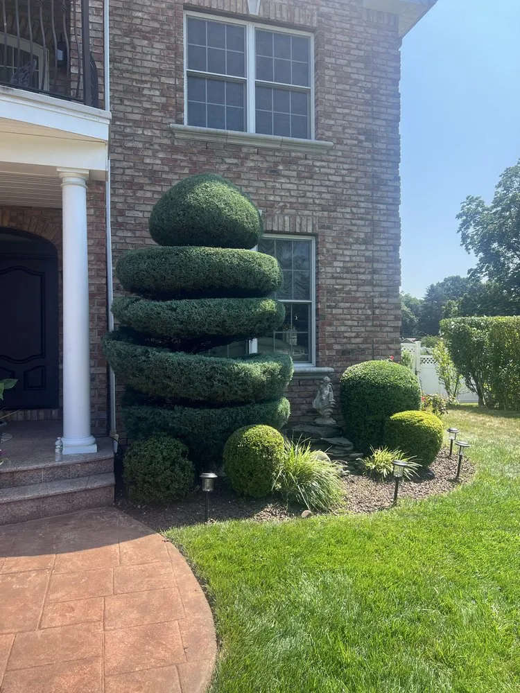 Trusted yard cleanup service experts serving Red Bank, NJ - L.Gonzalez landscaping services