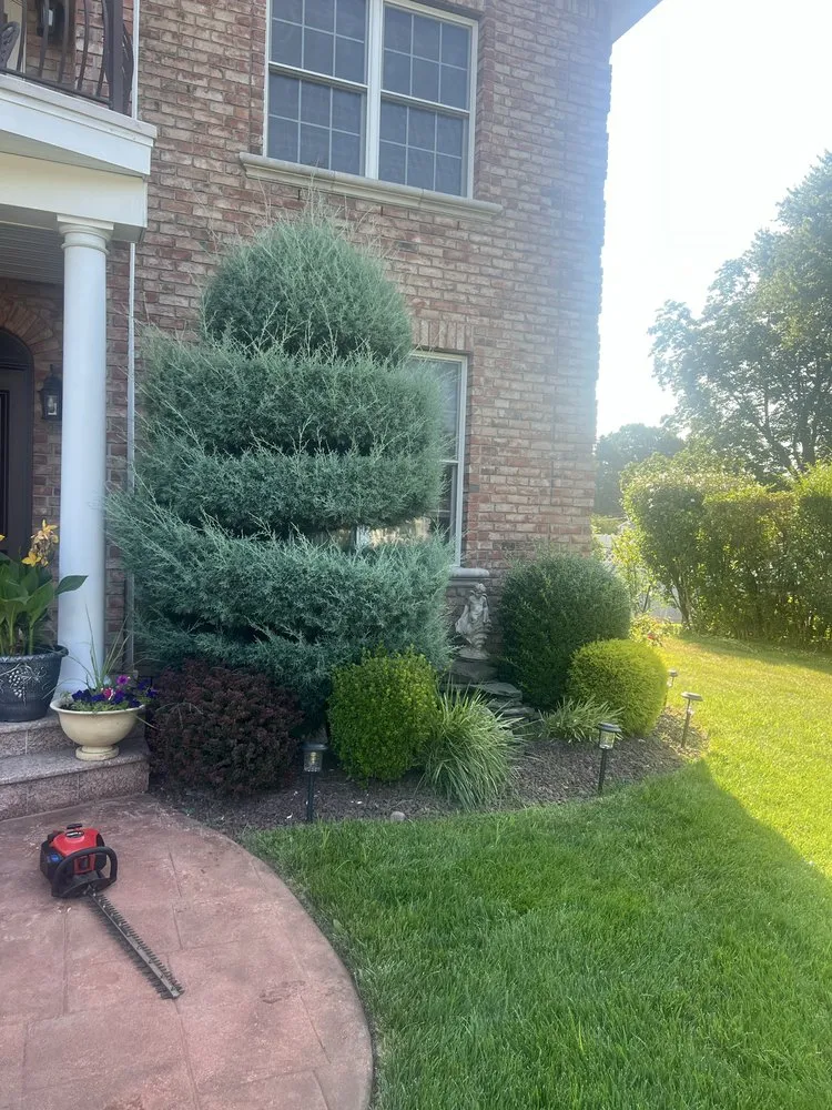 Custom landscaping services experts serving Red Bank, NJ - L.Gonzalez landscaping services